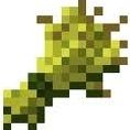 Quiz Minecraft