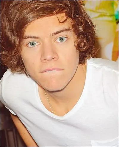 Harry Styles est le ...