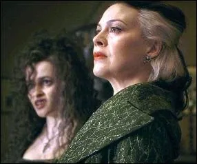 Elles sont galement...