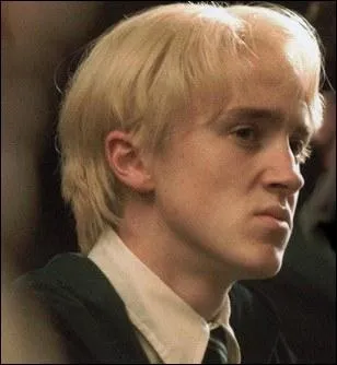 Sirius a un lien de parent avec Drago Malefoy.