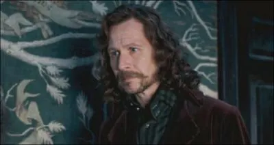 Qui d'autre que les Weasley, Alphard et Sirius a t effac de la gnalogie ?