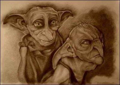 Qui a inaugur, dans la famille Black, la tradition de couper la tte des elfes de maison trop vieux pour porter les plateaux de th ?