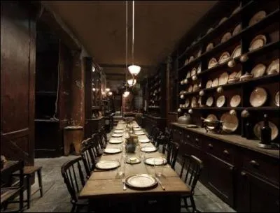 Lequel des membres de la famille de Sirius a fait faire son portrait et l'a accroch dans le hall de la maison ?