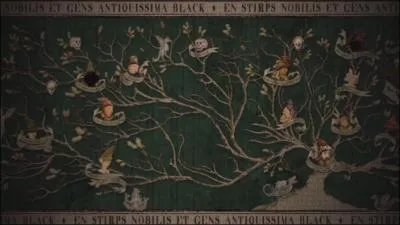 Qu'est-il crit sur la tapisserie gnalogique des Black en dessous du titre  La noble et trs ancienne maison des Black  ? (dans les livres)