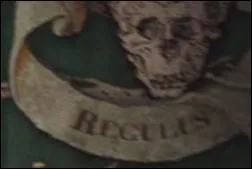 Le petit frre de Sirius, Regulus, s'est enrl parmi les Mangemorts. Par la suite, voulant vaincre Voldemort, il meurt en essayant de rcuprer un horcruxe qu'il arrive  faire mettre en sret.