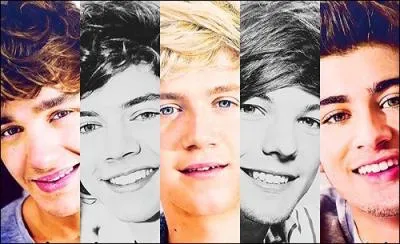 Qui a un rein en moins ?