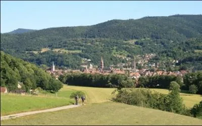 Vous voulez vous rendre  Munster, dans quel dpartement devez-vous aller ?