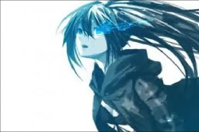 Dans quel manga voit-on ce personnage ?