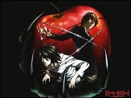 Dans quel manga voit-on ce personnage ?