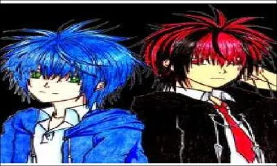 Dans quel manga voit-on ce personnage ?