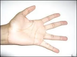  C'est pas moi, c'est pas moi !   : quel doigt bien collant prend son bain de gourmandise, avant joyeuse lchouille, dans le pot de confiture ou de pte au chocolat ?