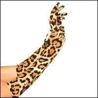  Je vais  Saint-Trop  : quel doigt vais-je montrer au bord de la route ?