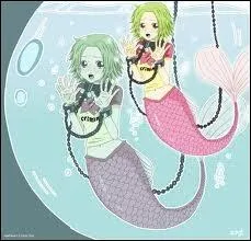 Combien le Dragon Cleste veut-il acheter Camie ?