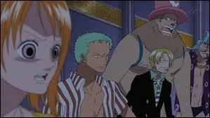 Avec combien de Berry, Nami et les autres peuvent-ils acheter Camie ?