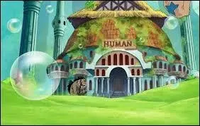 Dans quel grove se passent les enchres ?