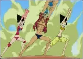 Qu'a achet Franky avec les 200 000 000 B vols  l'quipage ?