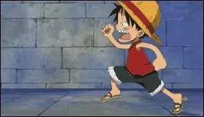 Quels sont les ges de Luffy ?