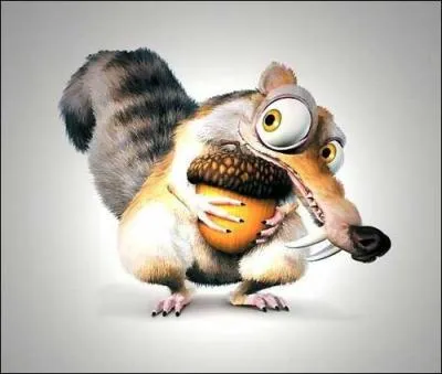 Qu'est-ce qu'aime le plus l'cureuil ?