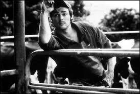 Quel est le film o il joue le rle de Rob en 2000 ?