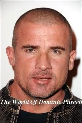 De qui Lincoln Burrows était-il amoureux ?