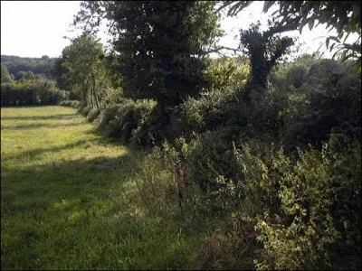 Ils vont, (... ) aux bouchures Leur culotte et mme leur peau ;