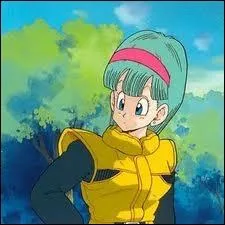 De qui est amoureuse Bulma ?