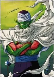 Qui est Piccolo par rapport  Sangohan ?
