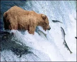 Quel est le nom de celui-ci ?