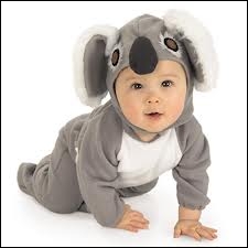 En quel animal est déguisé ce bébé ?