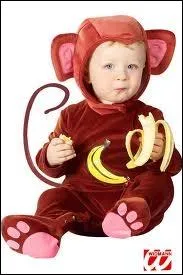 En quel animal est dguis ce bb ?