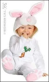 En quel animal est dguis ce bb ?