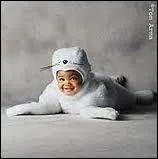 En quel animal est dguis ce bb ?