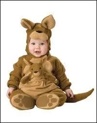 En quel animal est dguis ce bb ?