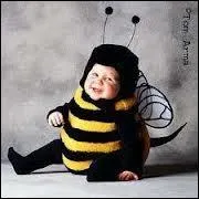 En quel animal est dguis ce bb ?