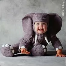 En quel animal est dguis ce bb ?