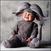 En quel animal est dguis ce bb ?