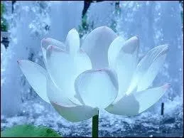 Qui est le dieu des ocans et des lacs ?