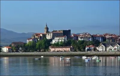 Près de l'estuaire de quel fleuve franco-espagnol Hendaye se situe-t-elle ?