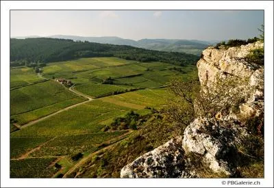 Mais enfin l'animal (. . ), Et le soleil lui, radieux.