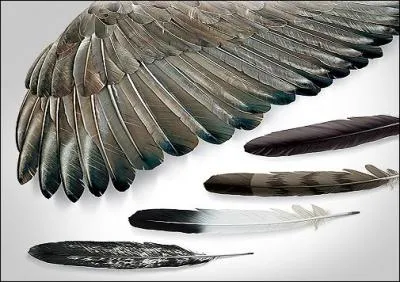 Forme verbale : Et vous, femmes de Vergisson, (... )-lui plume après plume :