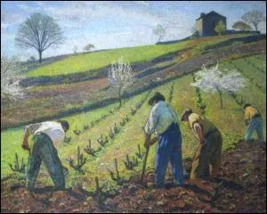 La culture de la vigne, 1904