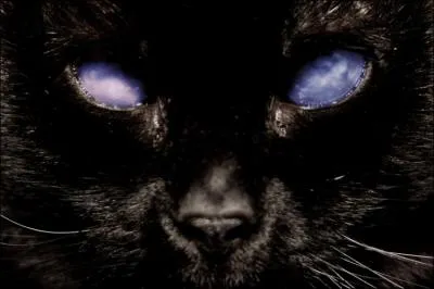 Lequel des trois est aveugle ?