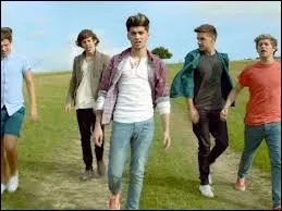 Combien de fois  Live while we're young  a-t-il t vu sur YouTube ?