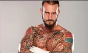 Quel est le finisher de CM Punk