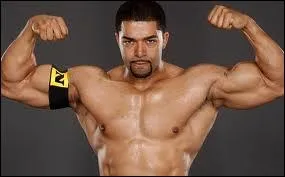 Quel est le finisher de David Otunga ?