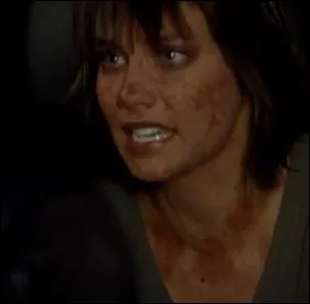 Quelle personne a bris la vitrine du caf selon Rose ?