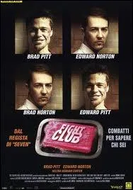 Vous regardez le fameux film-culte Fight club avec Brad Pitt et Edward Norton et on vous enfonce de force dans la tte que ?