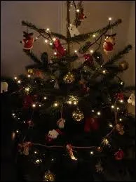 Il est temps de choisir votre sapin de Nol, lequel d'entre eux a les aiguillons qui tombent le moins ?