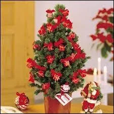 Lequel choisirez-vous si vous privilgiez son parfum de rsine ?