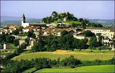 Je dois ma renomme  mon ail rose, je suis Lautrec et je me situe dans :